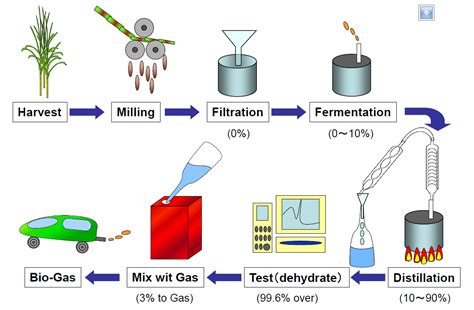 紫蘇籽油提取與應用於生物燃料的潛力！